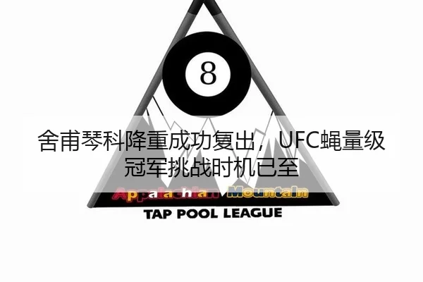 舍甫琴科降重成功复出，UFC蝇量级冠军挑战时机已至