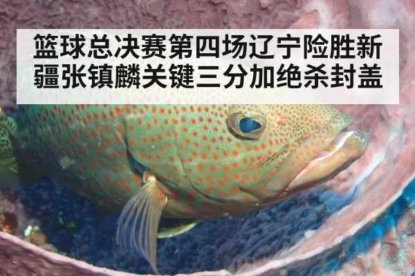 篮球总决赛第四场辽宁险胜新疆张镇麟关键三分加绝杀封盖
